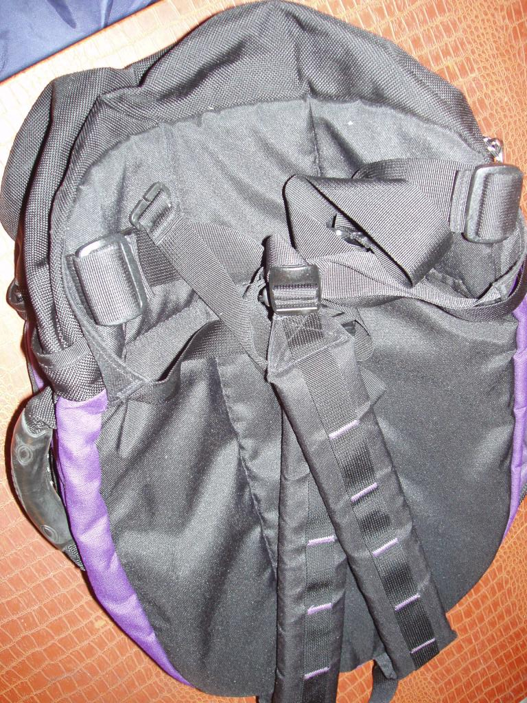 LL BEAN TRAVEL PACK w Handle