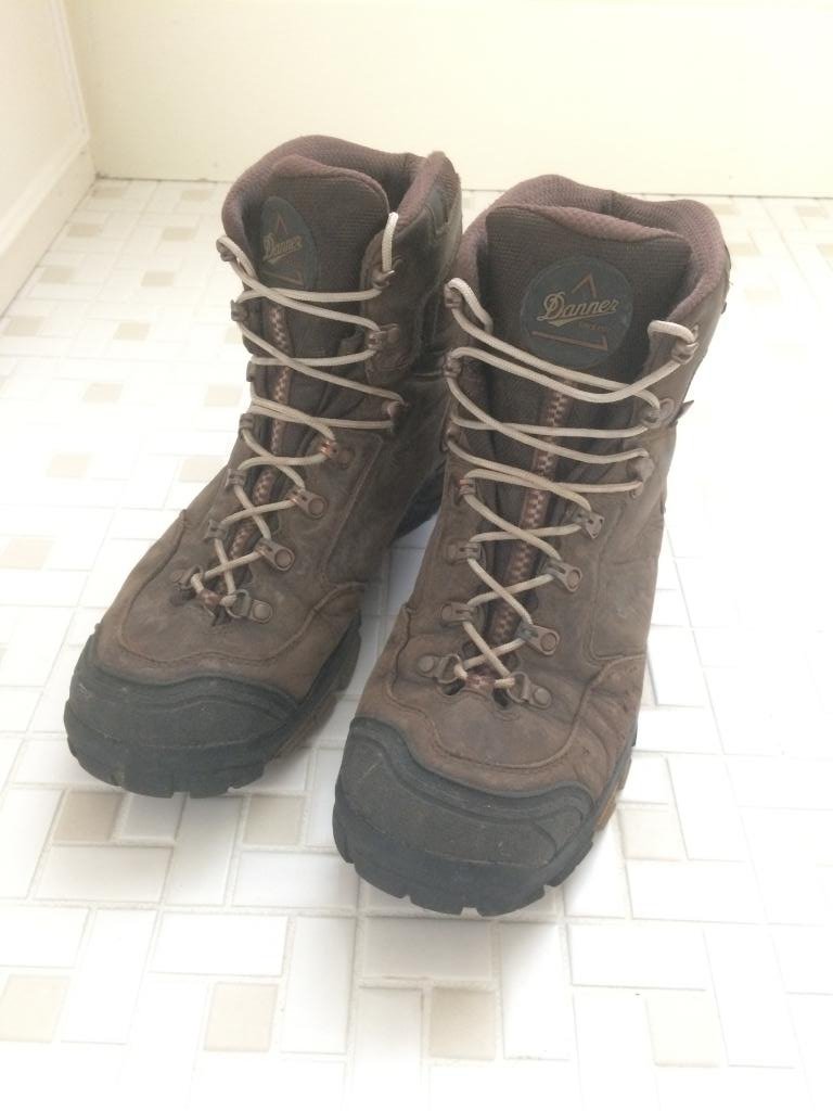 Danner Mt Adams 4.5